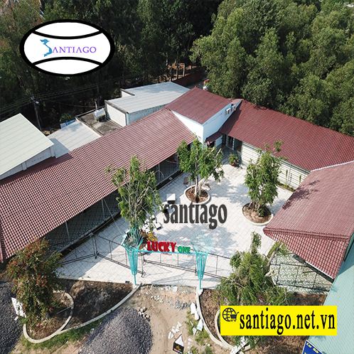 Mái ngói nhựa ASA màu nâu