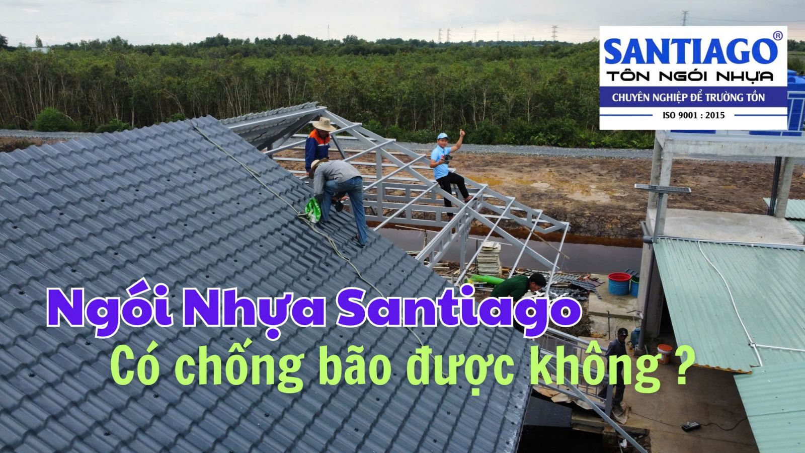 ngói nhựa có chống bão được không