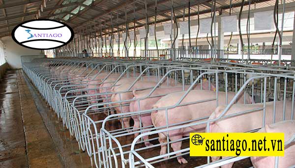 nông trại lợp tôn nhựa để cách nhiệt chống ăn mòn chống hơi nước biển