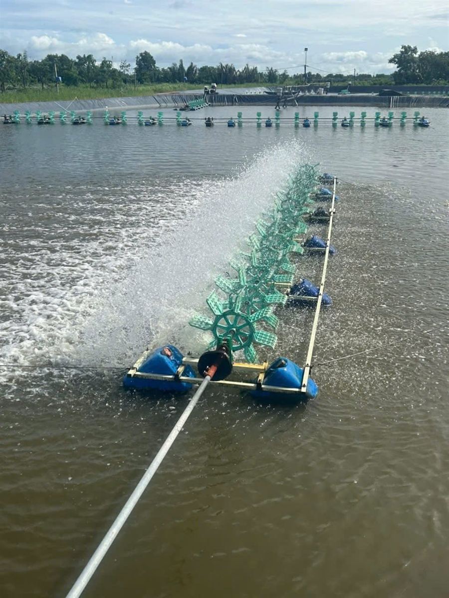 Dàn quạt nước ao tôm nước lợ đang chạy, khung kẹp phao bằng ống composite