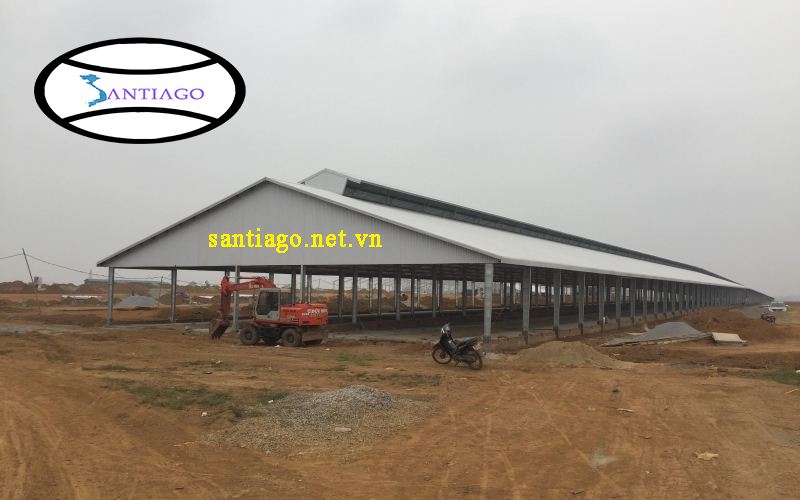 thi công tôn nhựa nông trại nuôi bò sữa